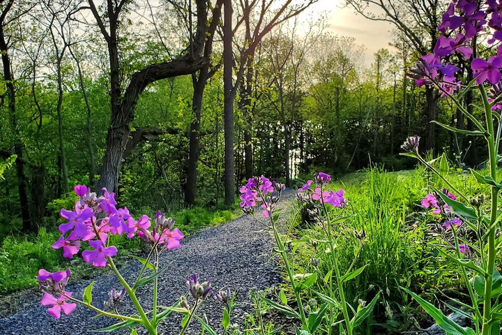 Property Grounds 28 of 46