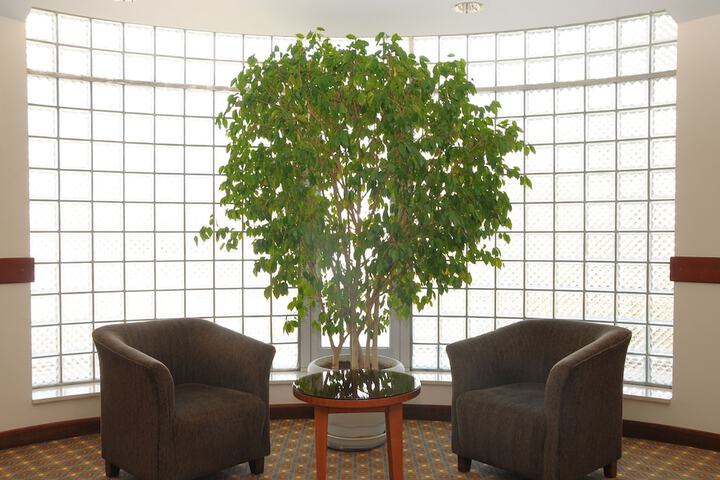 Interior detail