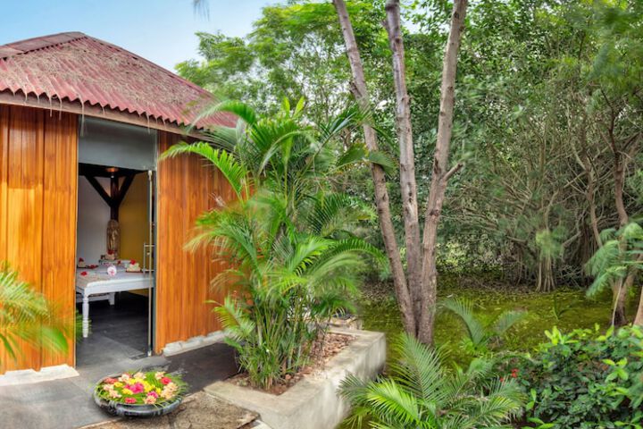 Spa Massage