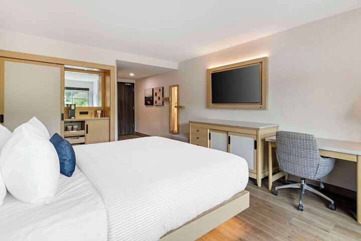 1 King Bed (4 of 16)