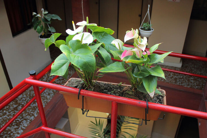 Fitness Center Photo