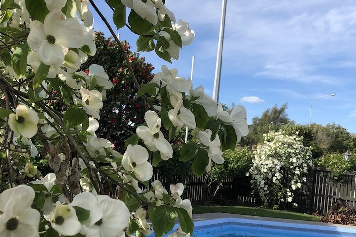 Pool 57 of 57