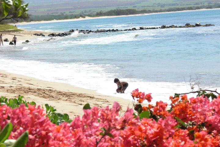 Lauloa 410 in Wailuku, HI