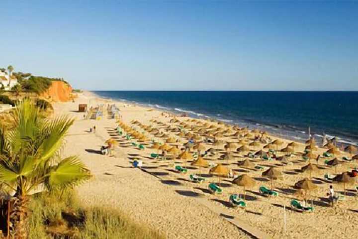 Beach 80 of 95