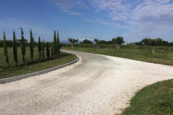 General 16 of 23