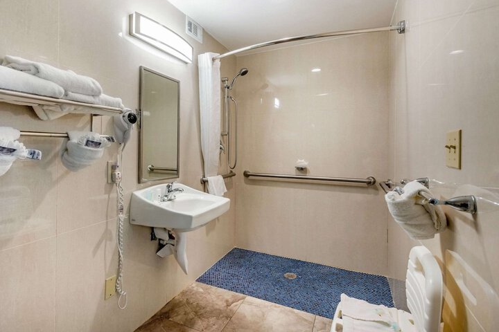 1 King Bed Accessible (10 of 24)