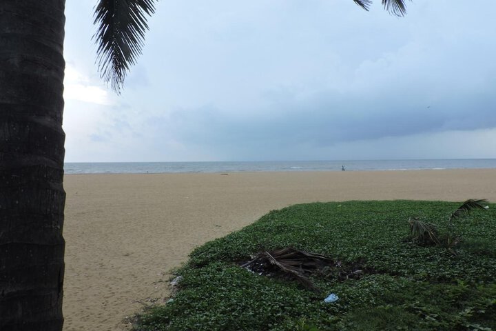 Beach 41 of 44