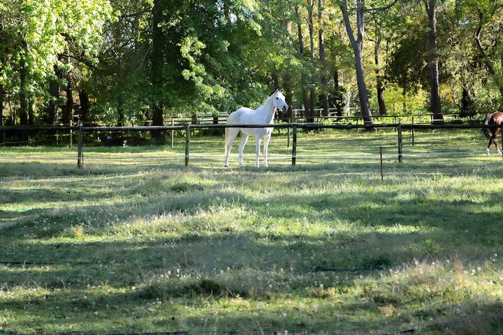 Property Grounds 28 of 56