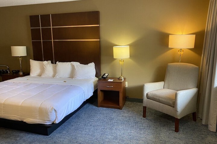 Deluxe King Bed (4 of 10)
