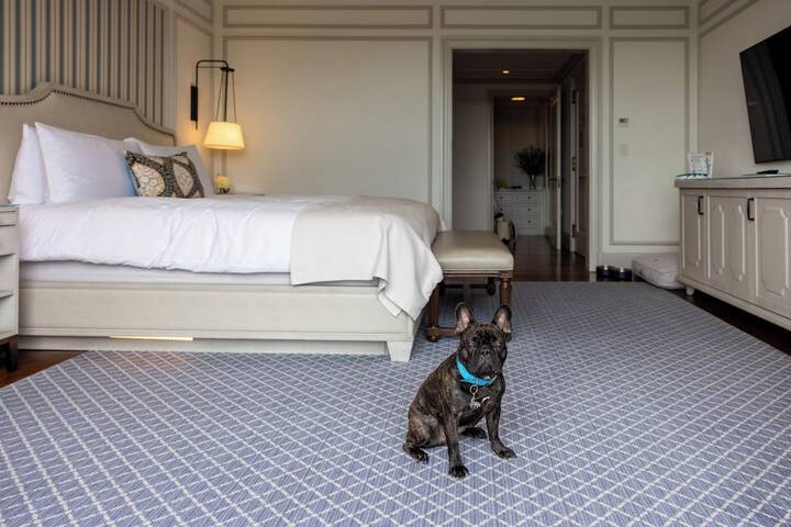 Pet-friendly