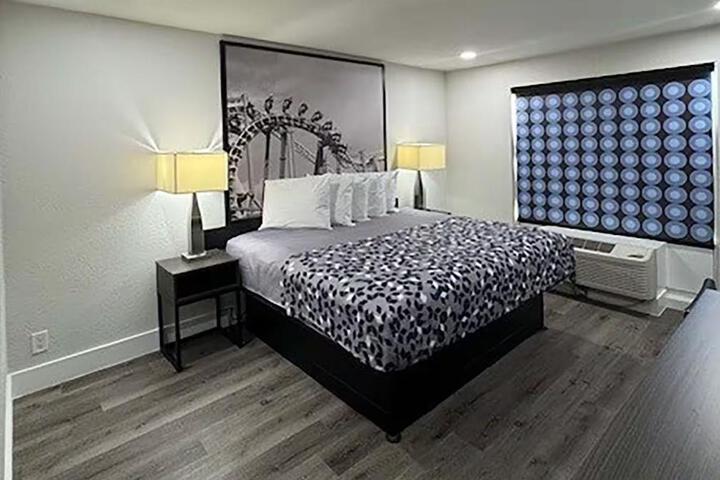 1 King Bed Accessible (2 of 9)