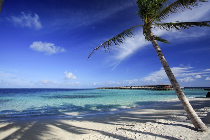 Beach 205 of 259