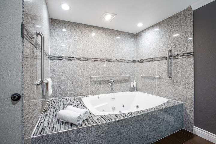 1 King Bed Accessible (4 of 24)