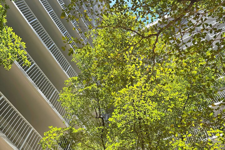 Courtyard view