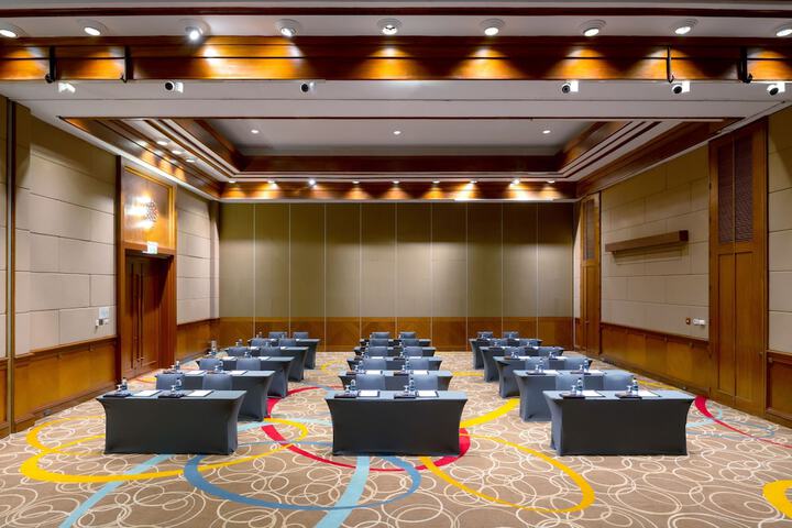 Meeting 208 of 257