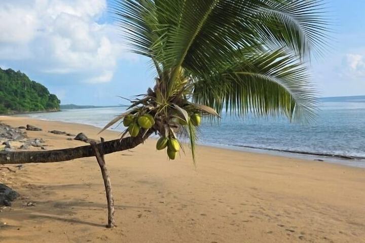 Beach 80 of 87