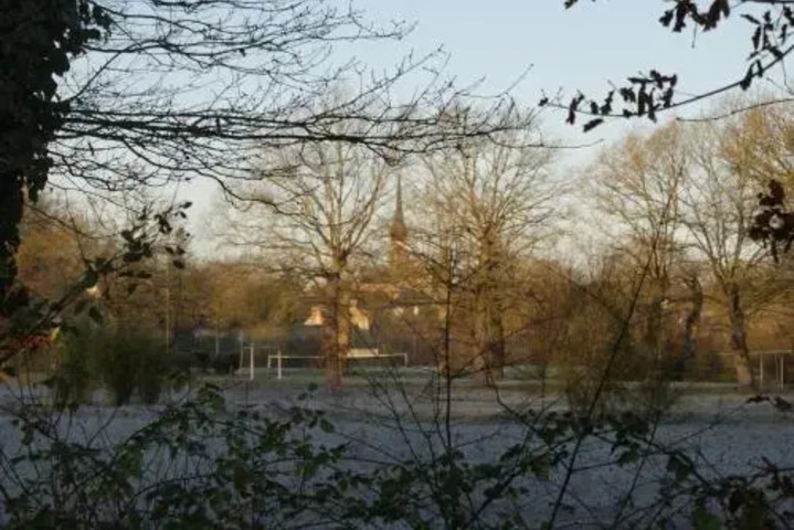 Photo 12