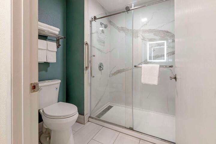 1 King Bed Suite (3 of 10)