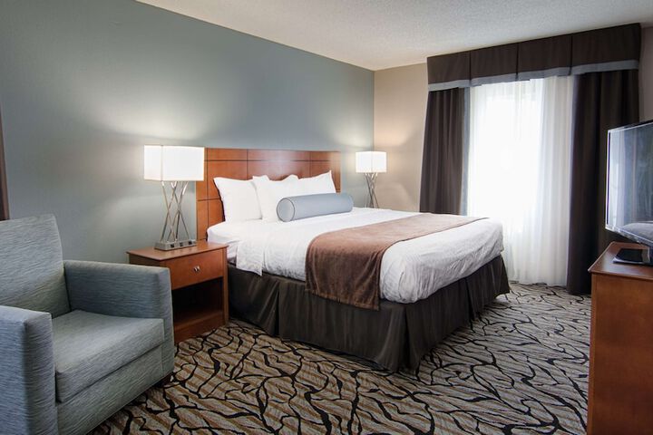 Suite 2 Queen Beds Sofa Bed Microwave and Refrigerator Full Breakfast (55 of 59)