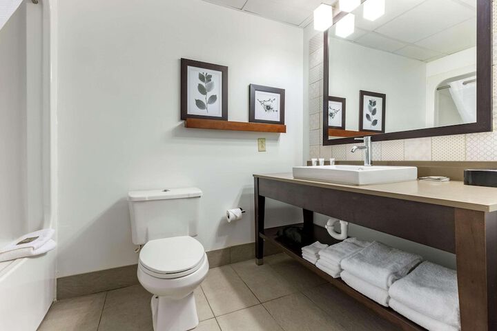 2 Queen Beds (3 of 10)