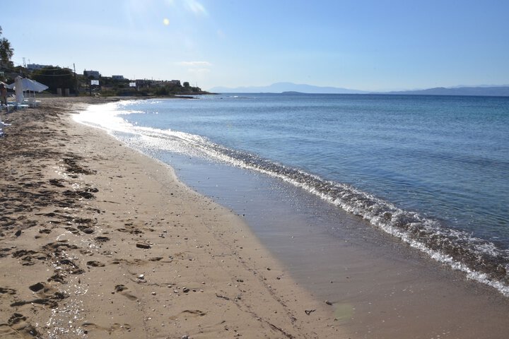 Beach 50 of 61