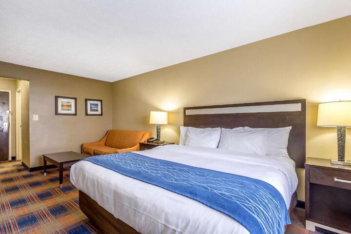 1 King Bed (15 of 19)