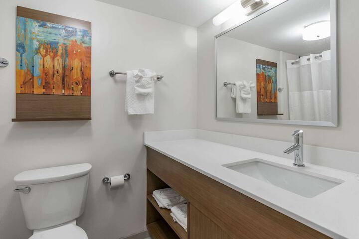 1 King Bed Suite (14 of 26)