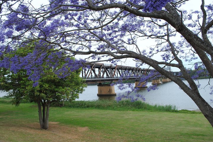 Property Grounds 74 of 78