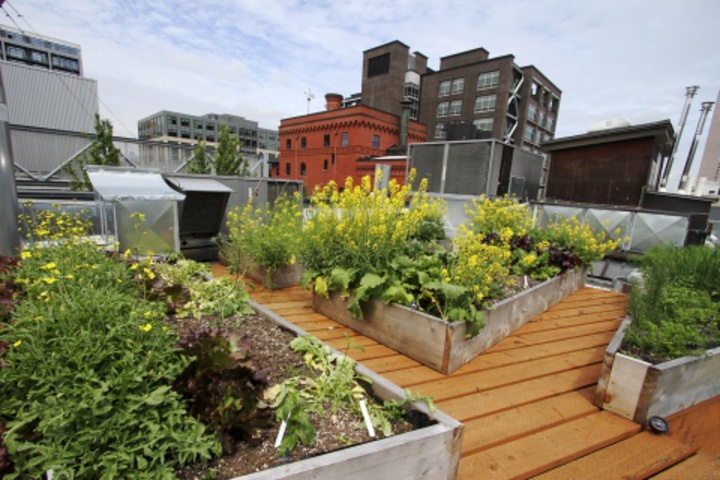 Terrace/Patio 48 of 420