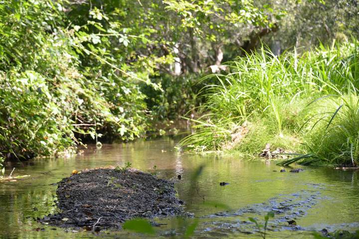 Property Grounds 61 of 76