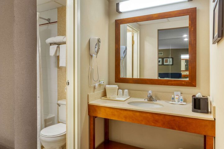 1 King Bed Suite (9 of 14)