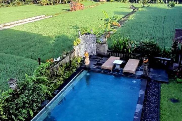 Beras Bali Suite