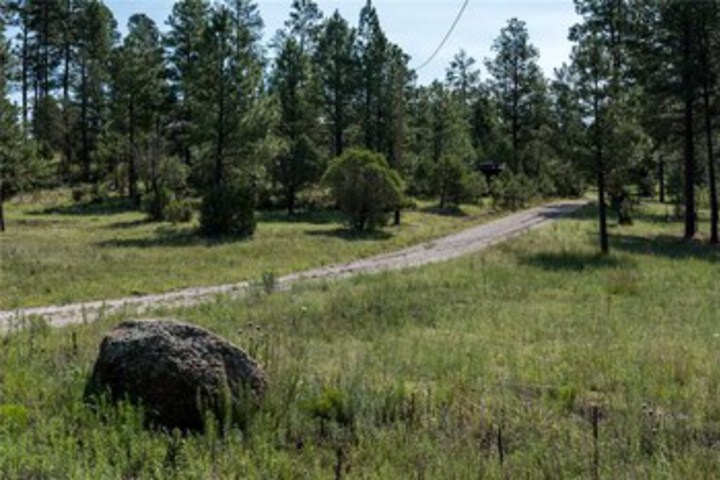 Property Grounds 25 of 38