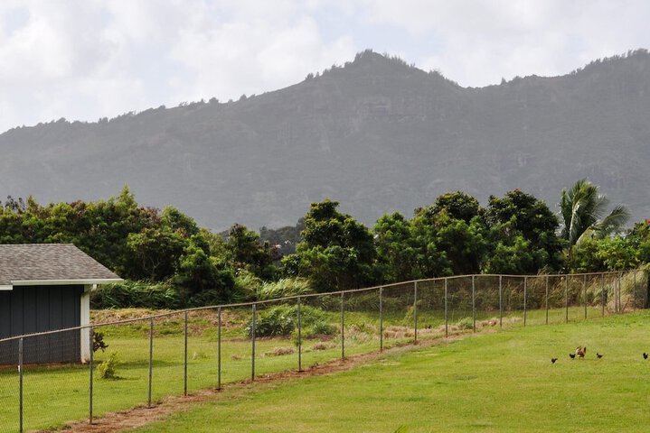 Hotel View 215 of 218