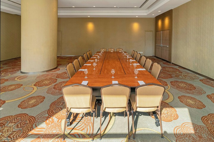 Meeting 203 of 256