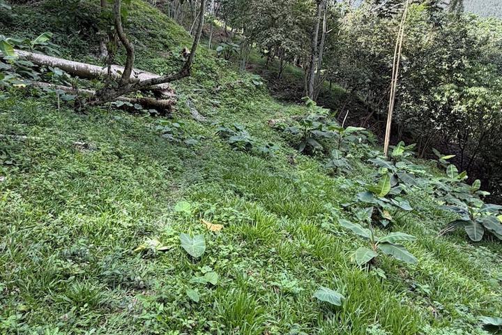 Property Grounds 22 of 33