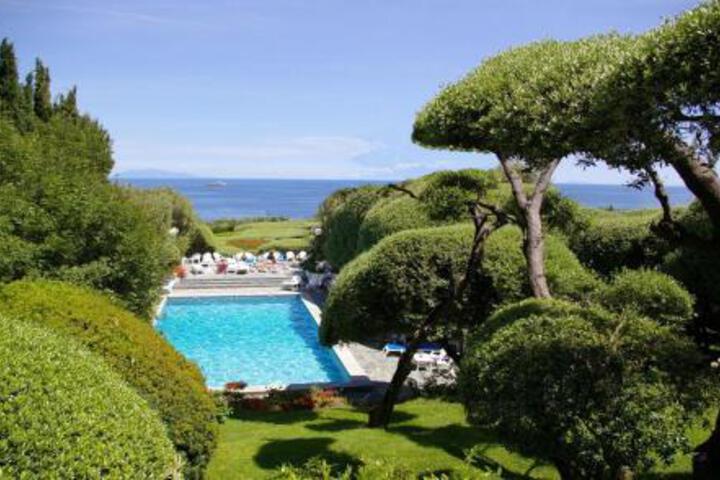 Image of HÃ´tel Pietracap