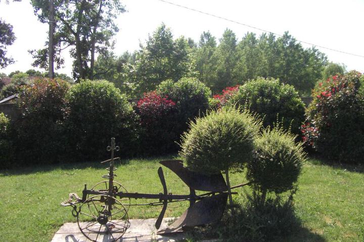 Photo 17