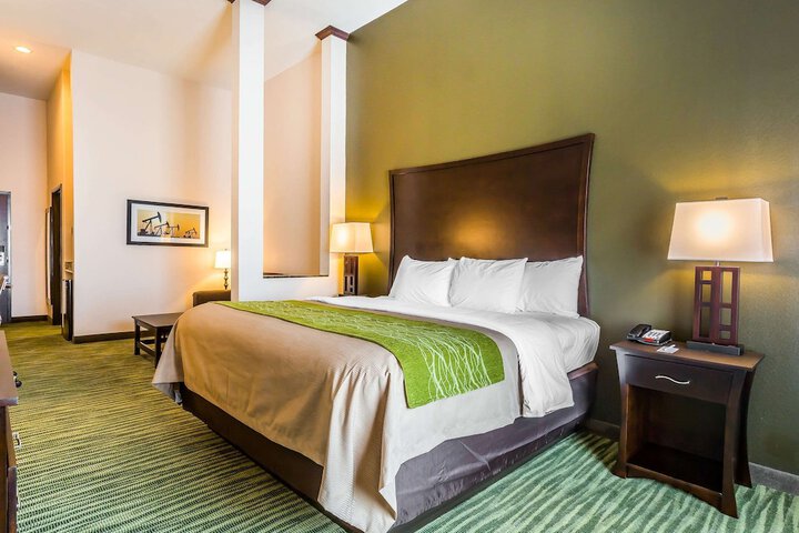 1 King Bed (8 of 13)