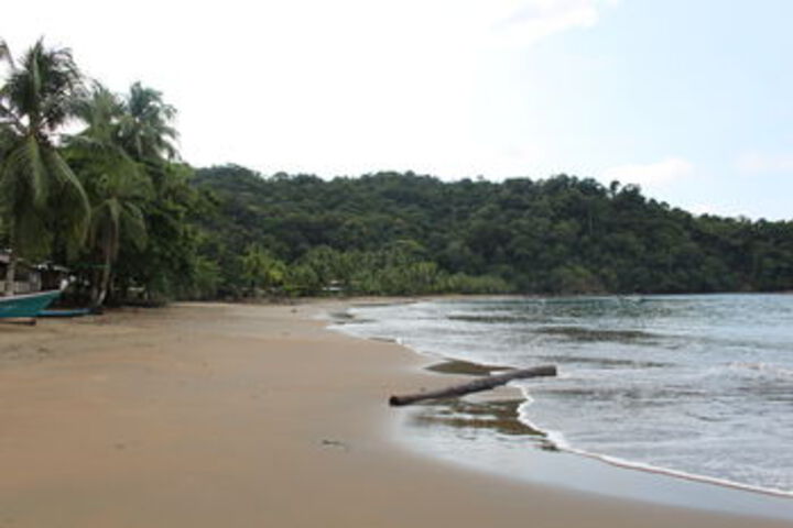 Beach 14 of 70