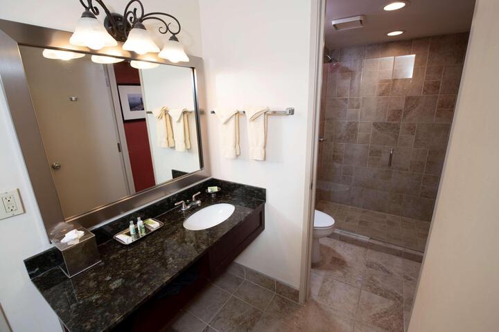 1 Queen Accessible Comm Assist Roll in Shower Microwave, Refrigerator Full Breakfast (7 of 18)