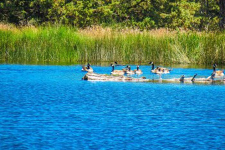 Property Grounds 21 of 25