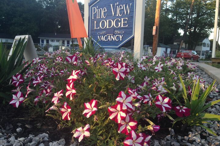 Exterior of Pine View Lodge