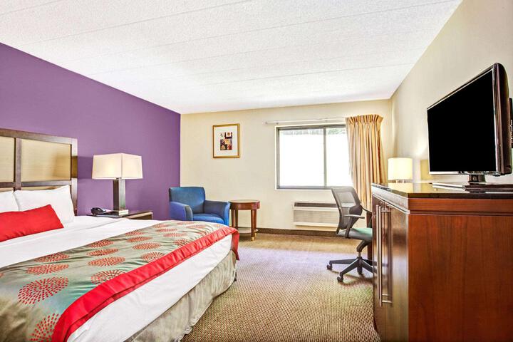 1 King Bed (5 of 8)