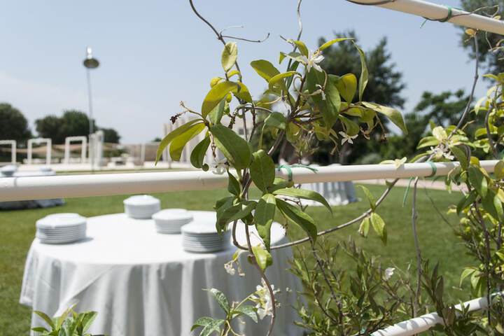 Wedding/Banquet 77 of 111