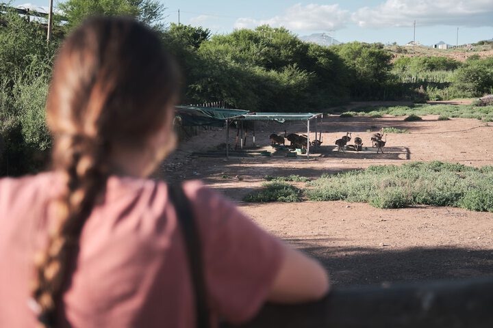 Game viewing