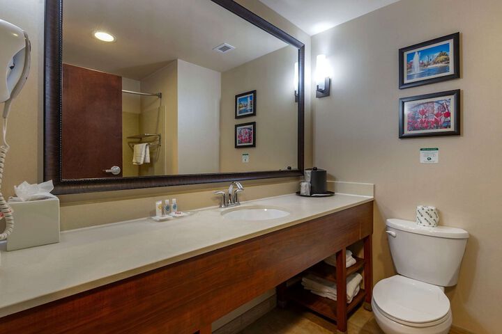 1 King Bed Suite (9 of 30)