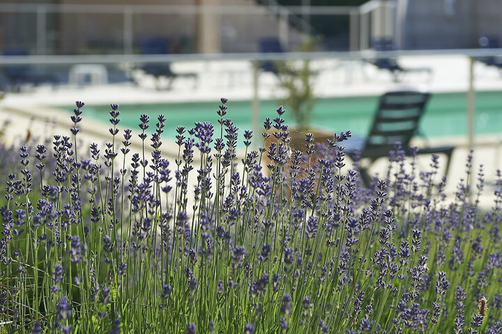 Hotel Pool