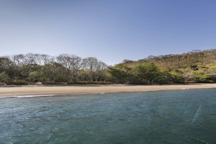 Beach 230 of 252