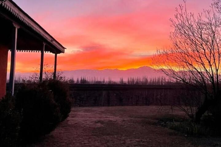 Enlace Wine House